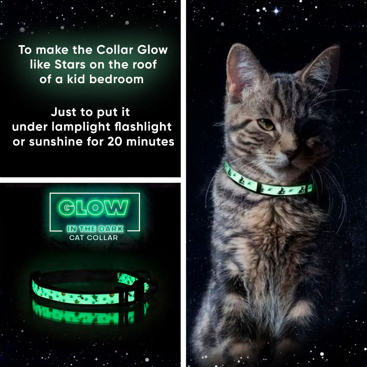 Glow In The Dark Cat Collar Orange Ribbon Hook
