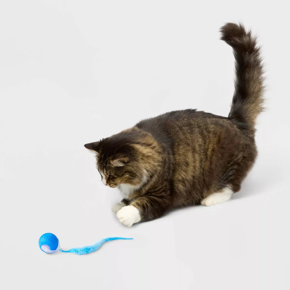 Interactive Rolling Ball Cat Toy