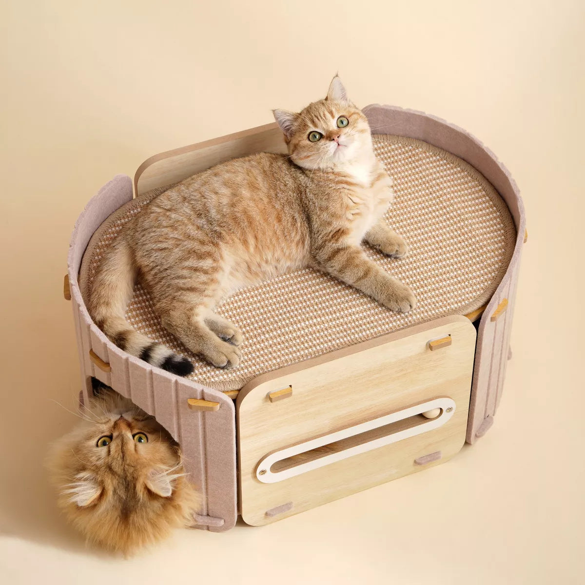 2-in-1 Modern Wooden Cat Condo Bed Beige