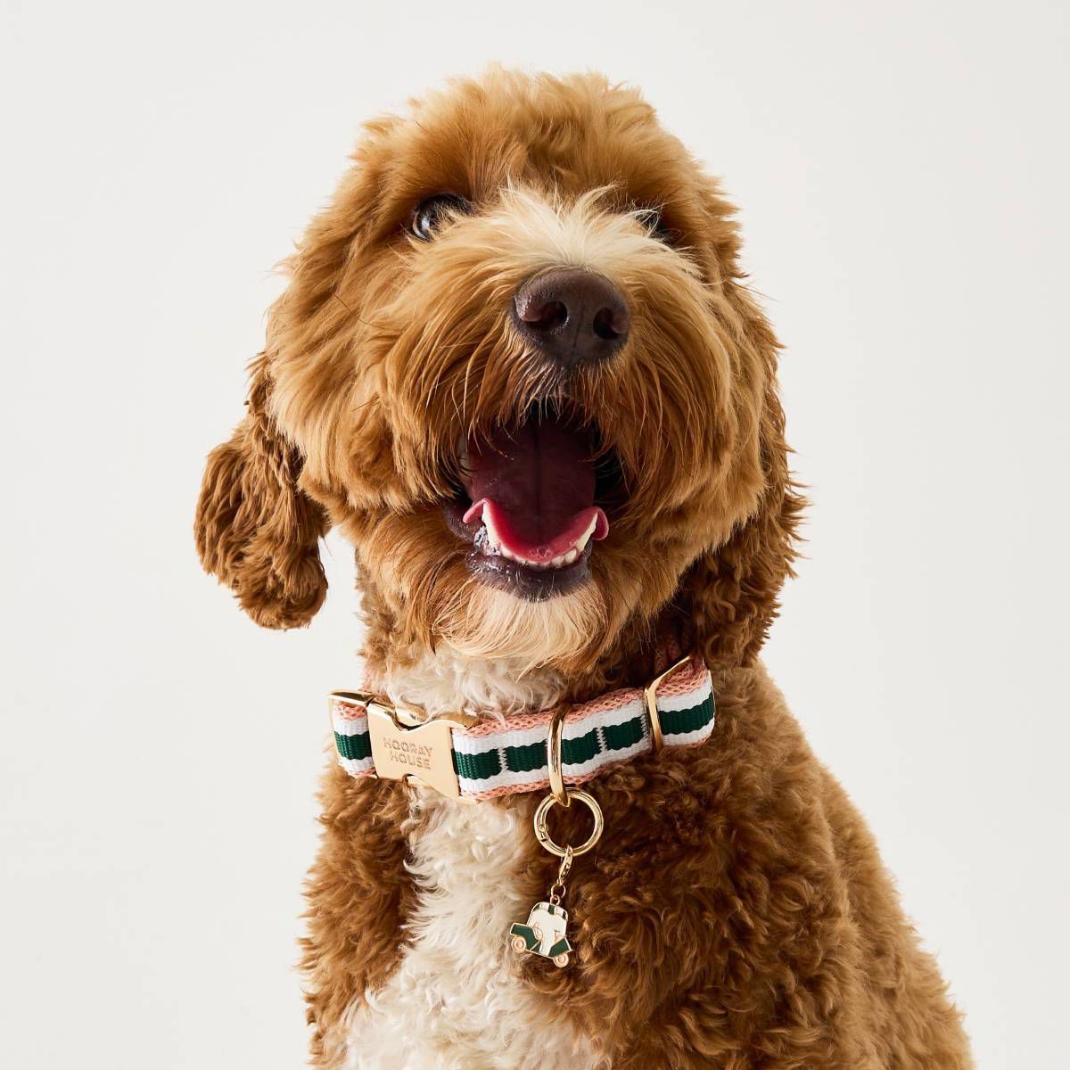 Performance Mesh Dog Collar - Pink