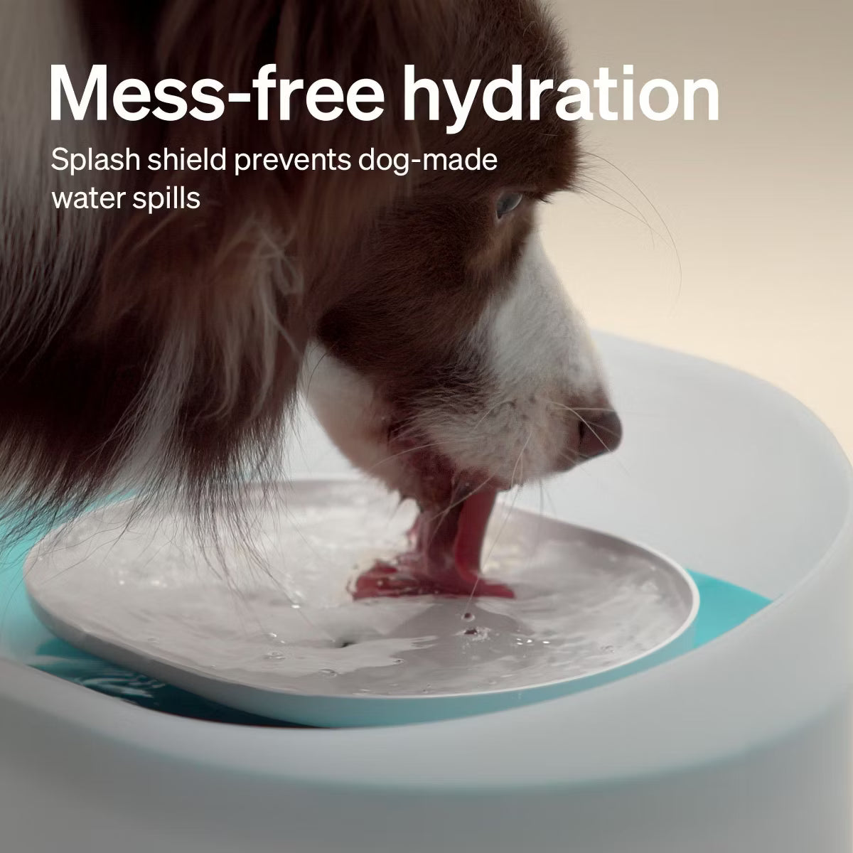 Capsule 2.1Gal/8L Water Fountain, 5-Layer Filtration,