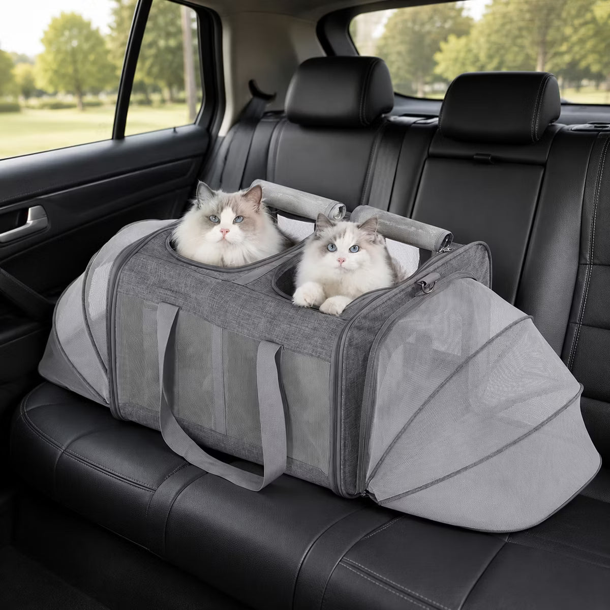 Large Double Cat Carrier Backpack for 2 Cats