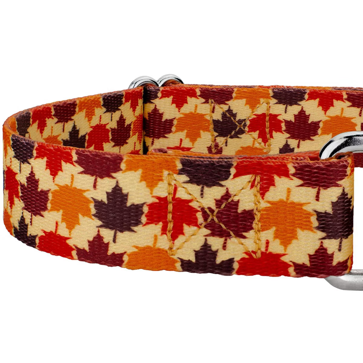 Nature Walk Martingale Dog Collar Limited Edition (1 Inch, Extra Large)