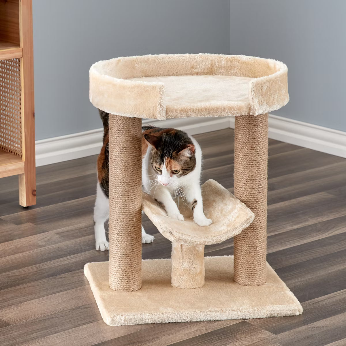 Beige Cat Scratching Post Cat Furniture