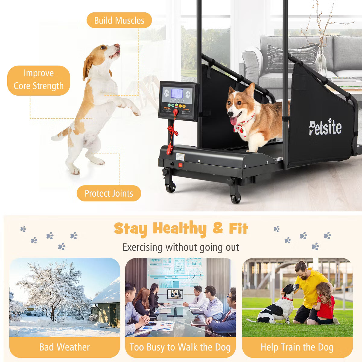 Dog Treadmill for Small/Medium Dogs Indoors Pet Running Training