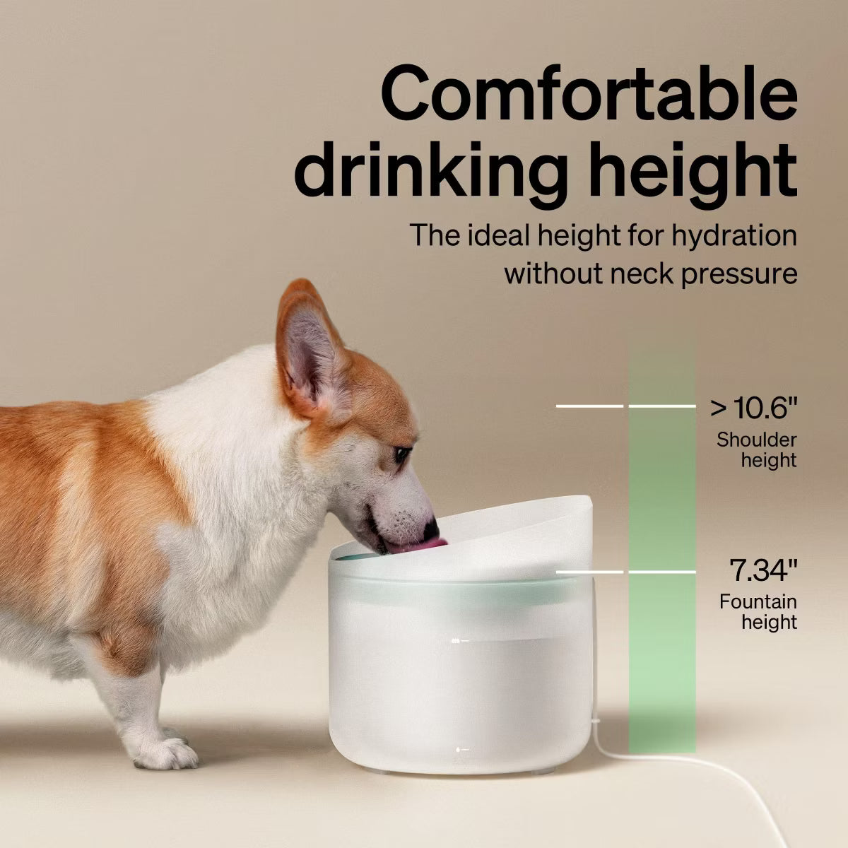 Capsule 2.1Gal/8L Water Fountain, 5-Layer Filtration,
