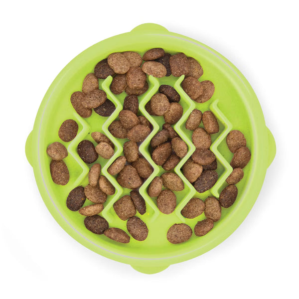 Fun Slow Feeder Cat Bowl