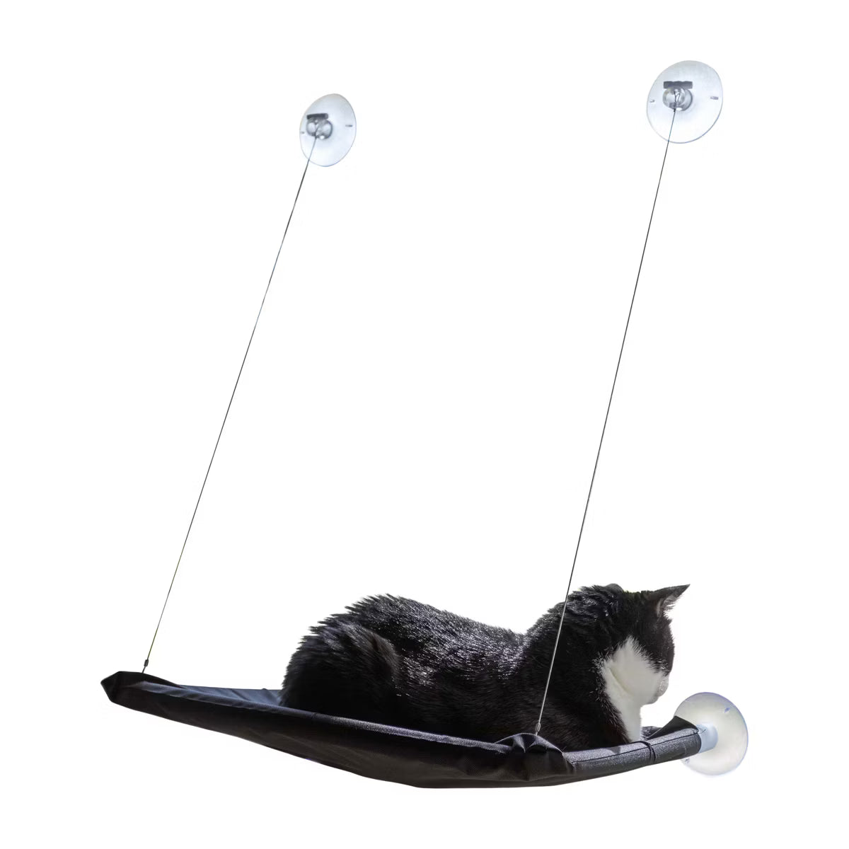 Cat Window Perch for Large Cats, Black