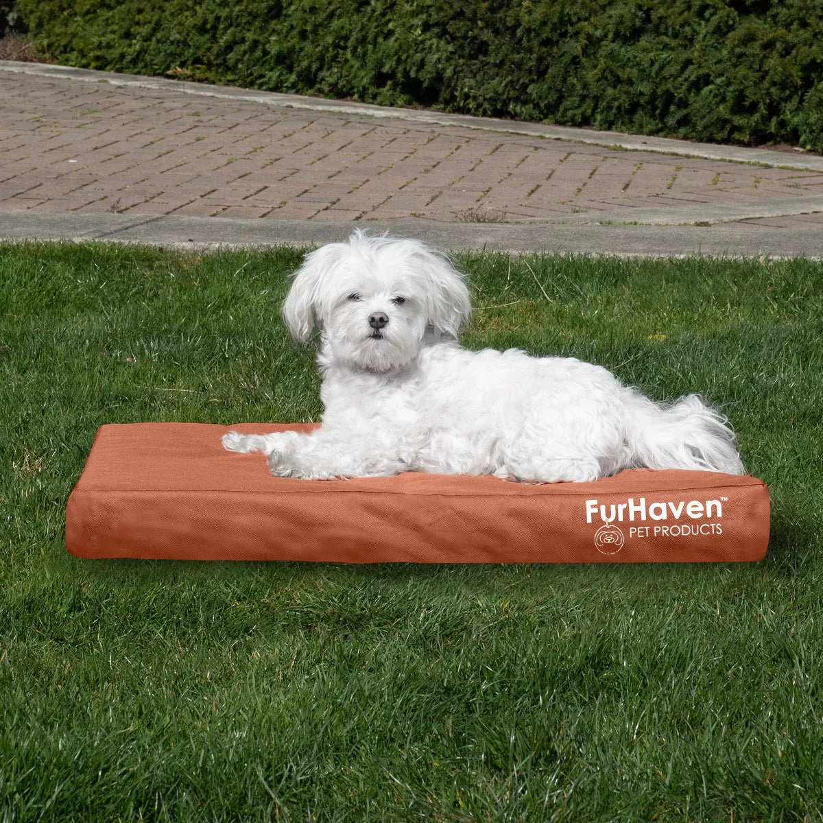 Indoor/Outdoor Deluxe Orthopedic Dog Bed Medium