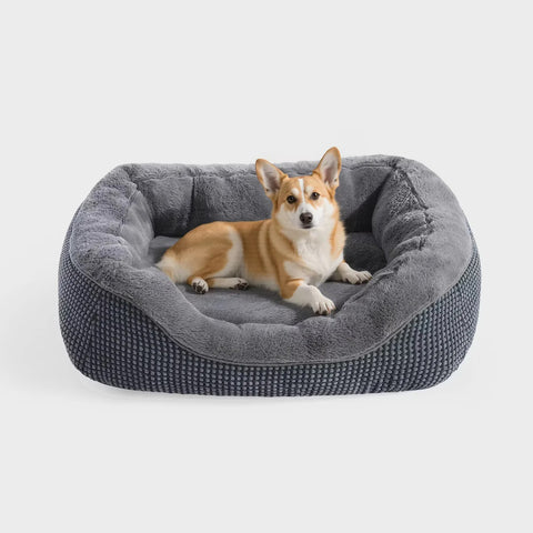 Dog Beds