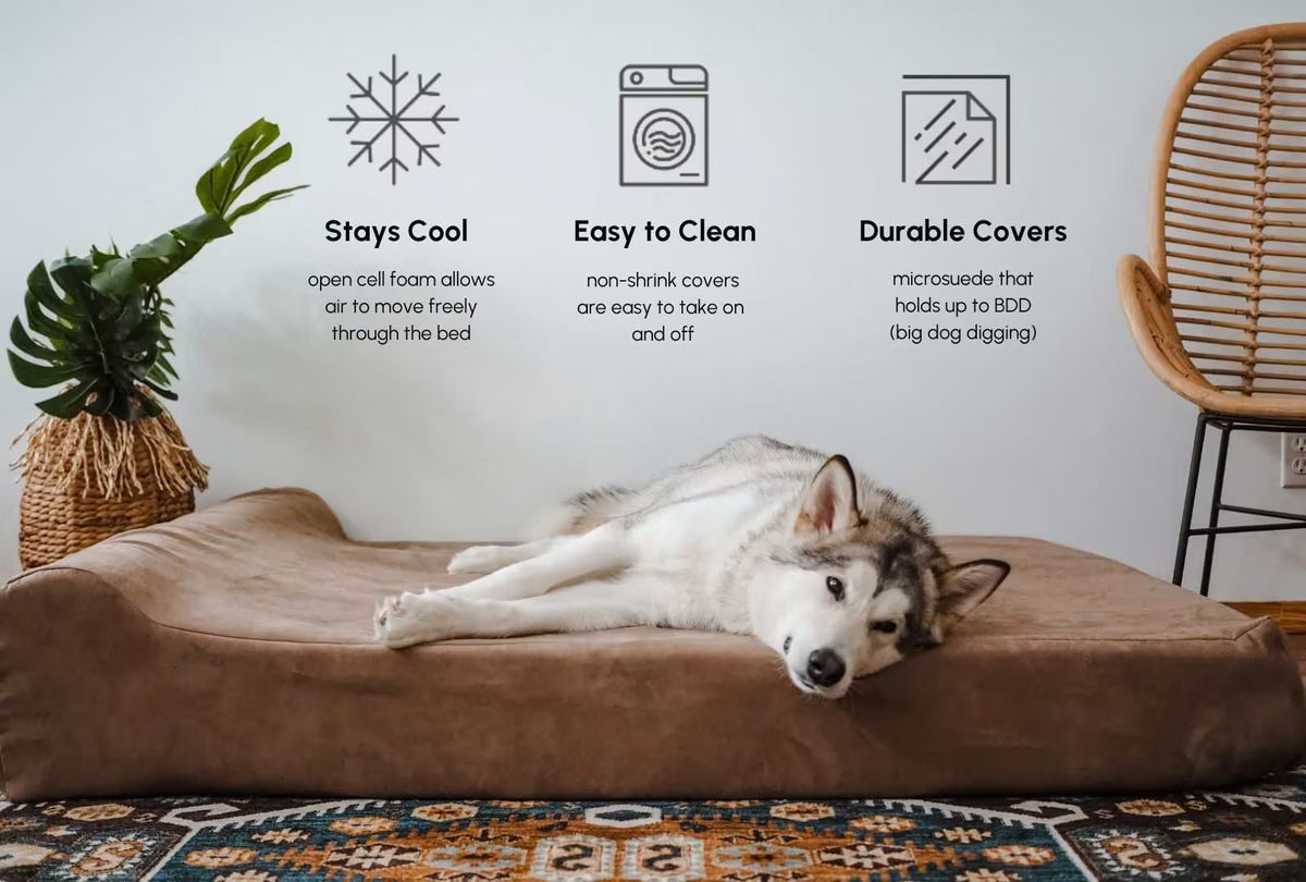 A German Shepherd dog lies stretched out on a dark gray rectangular pet bed against a plain white background.