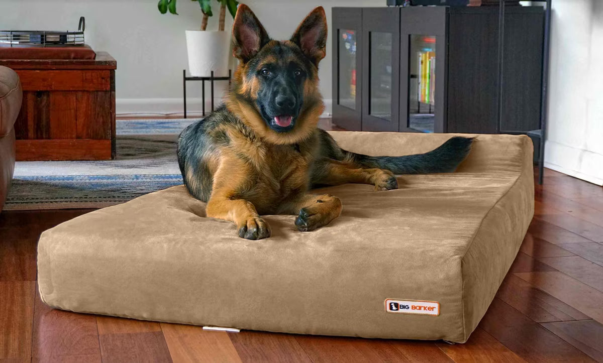 A German Shepherd dog lies stretched out on a large, rectangular, low-profile pet bed with a brown microfiber fabric, set against a plain white background.