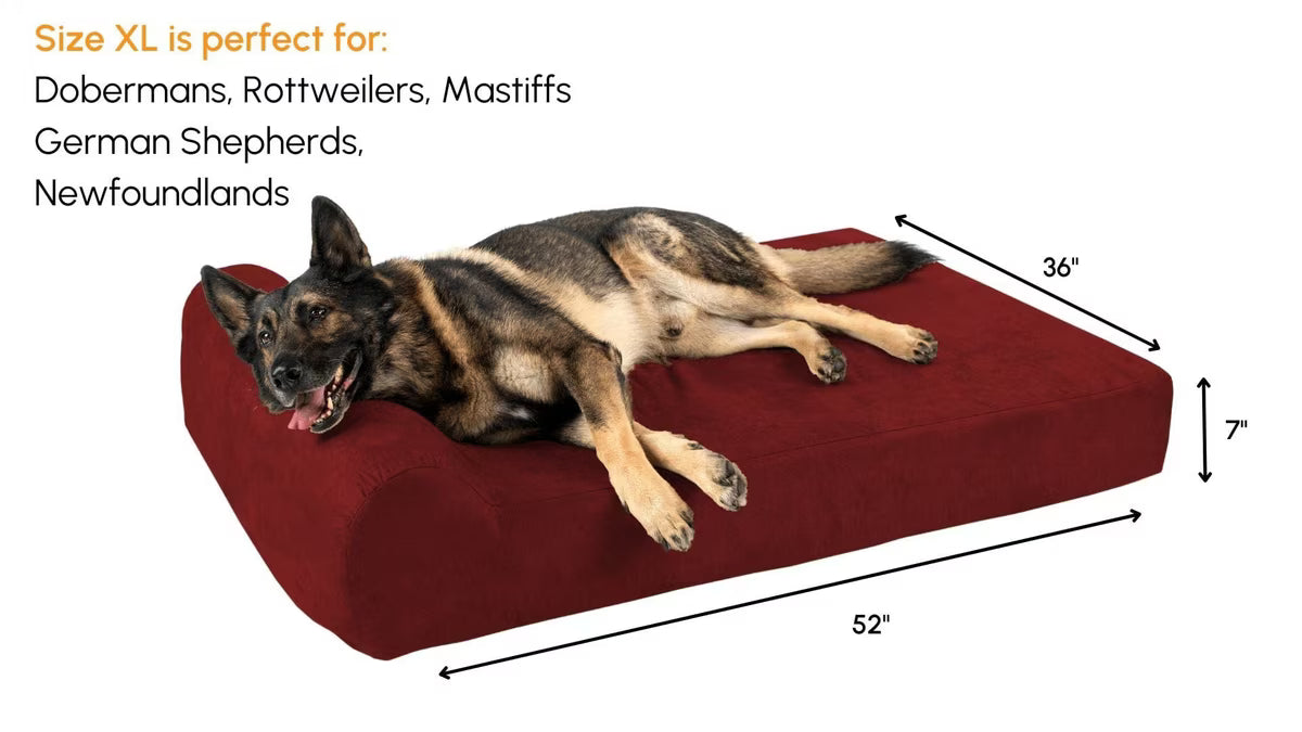 A German Shepherd dog lying on a large, plush, deep red rectangular dog bed against a plain white background.